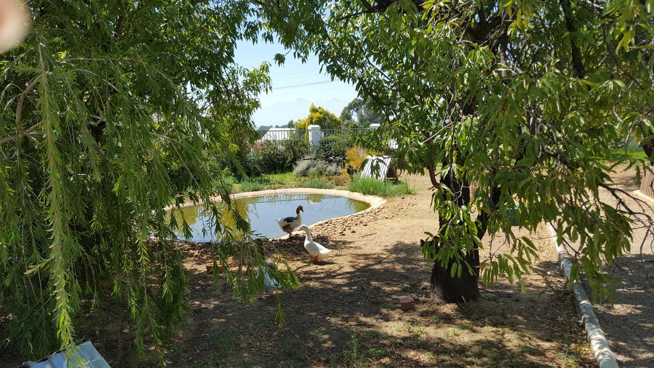 Merindol Manor Riebeek-West Экстерьер фото
